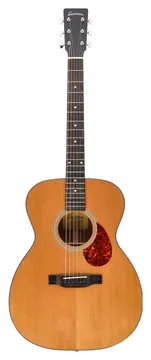 Eastman E1OM-DLX