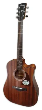 Ibanez AW54CE-OPN
