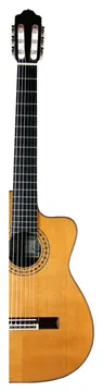 Esteve 8Ce Cedar Eq Fishman