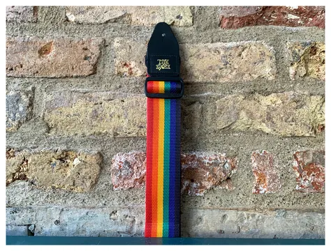 Ernie Ball Polypro Rainbow Strap
