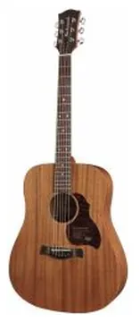 Richwood Master Series D-50 Handmade Dreadnought Guitar with Solid Mahogany Top