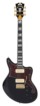 D'Angelico Deluxe Bedford Deckendes Schwarz
