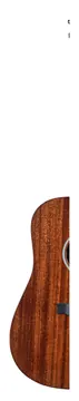 Martin D-10E Sapele