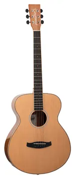 Tanglewood Discovery Dbtfpglh Acoustic Guitar