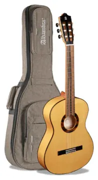 Alhambra Conservatory Green Sustain GSF + gigbag 9738
