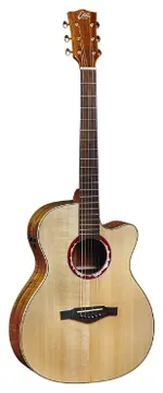 EKO Alps J450CE