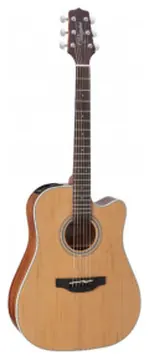 Takamine GD20 CE