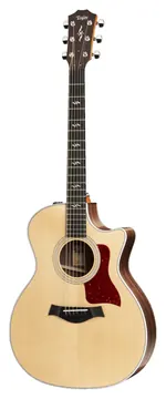 Taylor 414CE-R V-CLASS Bracing