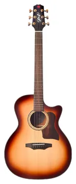 Seizi Cutaway Supreme Ryu Honey Burst Gold Com Bag - Seizi