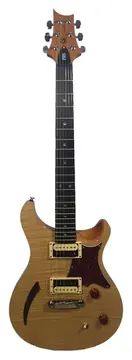 PRS SE Semi Hollow PRSSECMSH Natural