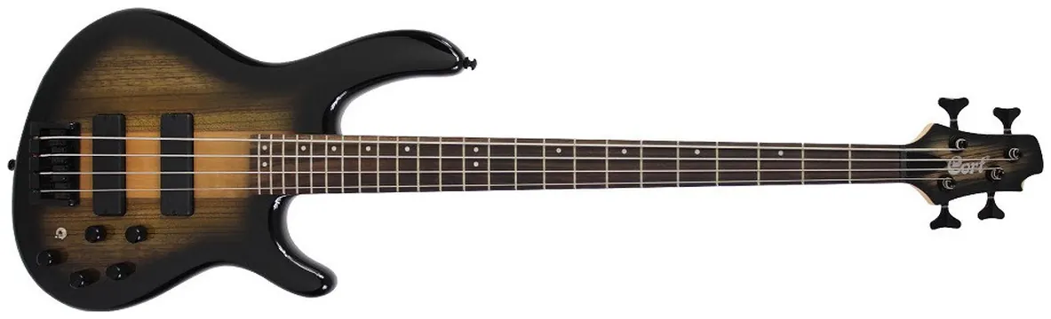 Cort C4 Plus Zebra Black Burst