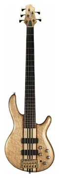 Gewa CORT A5 CUSTOM 20TH Anniversary Artisan Bass