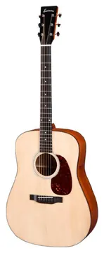 Eastman E1D - Dreadnought