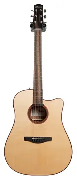 Ibanez AAD300CE Natural Low Gloss