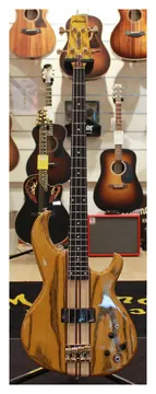 Aria Pro II SB-1000-B-OAK