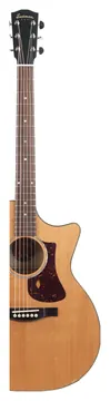 Eastman PCH3 GACE Amberburst
