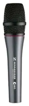 Sennheiser E865