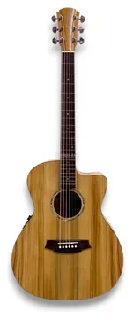 Cole Clark Studio SAN1EC-CLCL