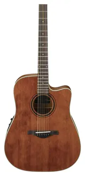 Ibanez Artwood AW250ECE Akustikgitarre