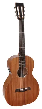 Richwood Master Series P-50-E handmade parlor guitar