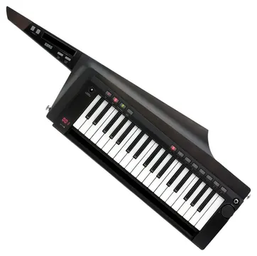 Korg RK-100S 2 Black