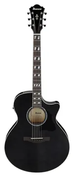 Ibanez AE170TBK Nero trasparente
