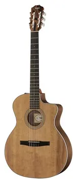 Taylor 214ce-N Spruce/Walnut