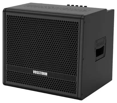 Vosstorm Combo de Baixo Vosstorm BS-12/A 75W 1x12"