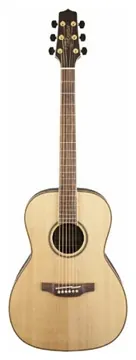 Takamine akoestische gitaar - New Yorker - Naturel