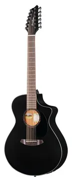 Breedlove Discovery S CN SAT. BLK DBL12