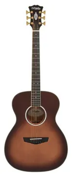 DAngelico Excel Tammany Autumn Burst