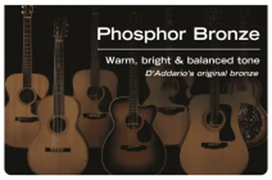 D'addario EPBB170 Phosphor Bronze Acoustic Bass, Long Scale, 45-100 - jeu de 4 cordes