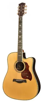 Richwood D70CEVA Dreadnought Western Gitaar