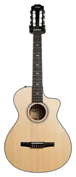 Taylor 312ce-N w/ES-N - Natural