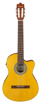 Ibanez GA3ECE Oam