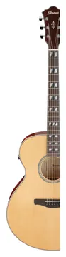 Ibanez AE170 AE Series Natural
