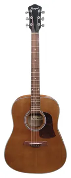 Camwood IW-240MNS Chitarra Acustica