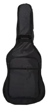 Strinberg Sd200c Sms Smoked + Capa Champion