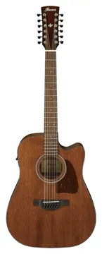 Ibanez AW5412CE-OPN Open Pore Natural 12-snarig