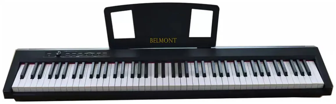Belmont GS-100 Portable Digital Piano, Black