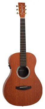 Tanglewood Elemental TE8EBL
