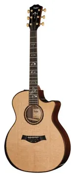 Taylor 914ce Special Edition