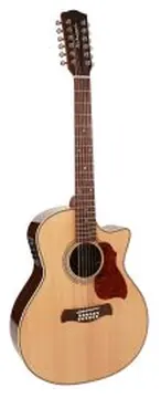 Richwood Master Series Handmade Grand Auditorium 12-String Guitar, G-6512-CEVA