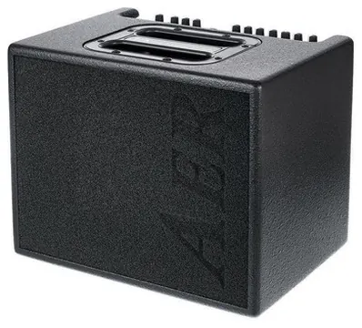 AER Compact 60 mk4 Acoustic Guitar Amplifier