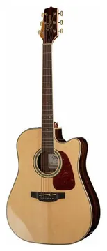 Takamine Dreadnought Cutaway Elettrificata Natural con Borsa