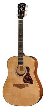 Taylor Gold Label 510e