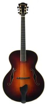 Eastman AR910 Sunburst 2010