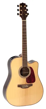 Takamine GD93CE-NAT