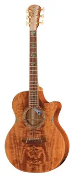 Cole Clark AN3EC-BLBL-AE