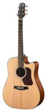 Walden WAD550CEW Westerngitarre mit PU inkl. Gigbag